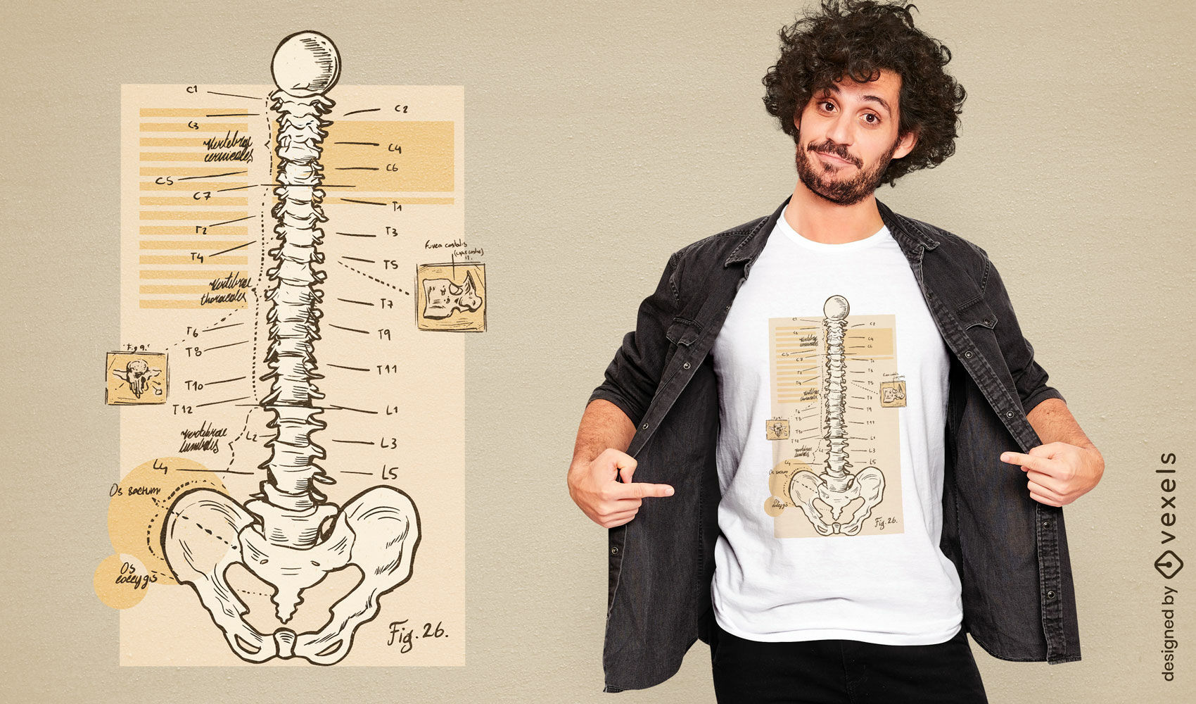 Spine anatomy diagram t-shirt design