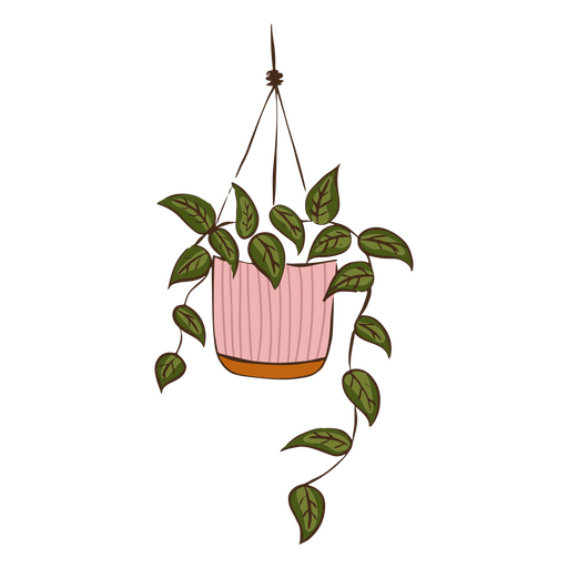 Cute hanging plant nature PNG Design
